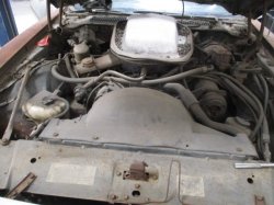 190711 80 Pontiac Trans Am (25).JPG